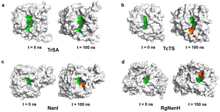 https://cdn.ncbi.nlm.nih.gov/pmc/blobs/cf90/10095477/e7ca8971ce7f/ijms-24-06830-g003.jpg