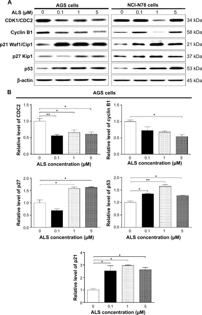 https://cdn.ncbi.nlm.nih.gov/pmc/blobs/cf91/4298344/87e2f37c7949/dddt-9-487Fig5.jpg