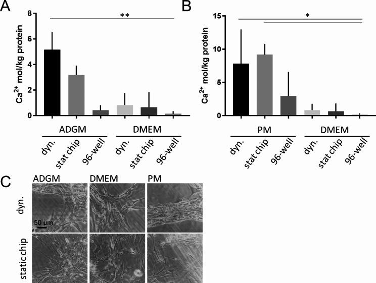 https://cdn.ncbi.nlm.nih.gov/pmc/blobs/cf95/11342540/0b915aa6c5dd/13036_2024_441_Fig4_HTML.jpg