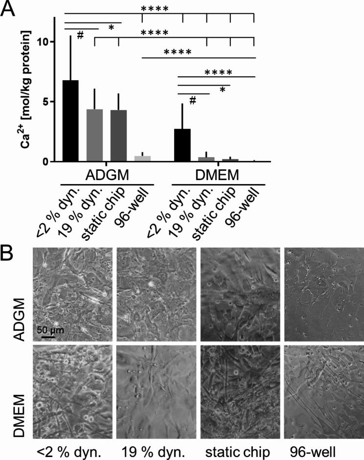 https://cdn.ncbi.nlm.nih.gov/pmc/blobs/cf95/11342540/7d73109ddf46/13036_2024_441_Fig7_HTML.jpg