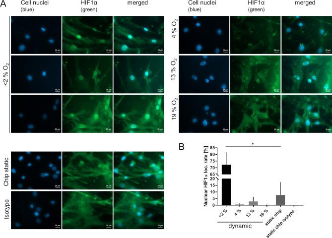 https://cdn.ncbi.nlm.nih.gov/pmc/blobs/cf95/11342540/b19f74d9496f/13036_2024_441_Fig3_HTML.jpg