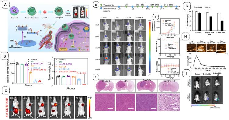 https://cdn.ncbi.nlm.nih.gov/pmc/blobs/cf95/12180594/79cb855be932/IJN-20-7715-g0005.jpg