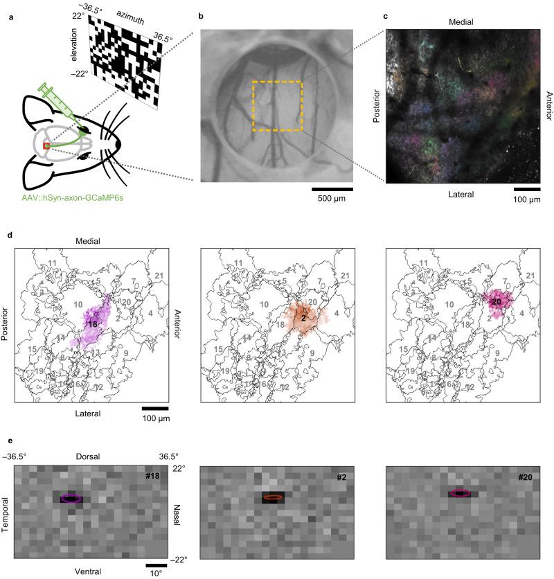 https://cdn.ncbi.nlm.nih.gov/pmc/blobs/cf96/10654506/a4a9c216099c/41467_2023_43218_Fig2_HTML.jpg