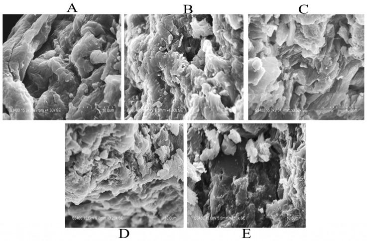 https://cdn.ncbi.nlm.nih.gov/pmc/blobs/cf97/11314503/868365636fe5/molecules-29-03519-g004.jpg