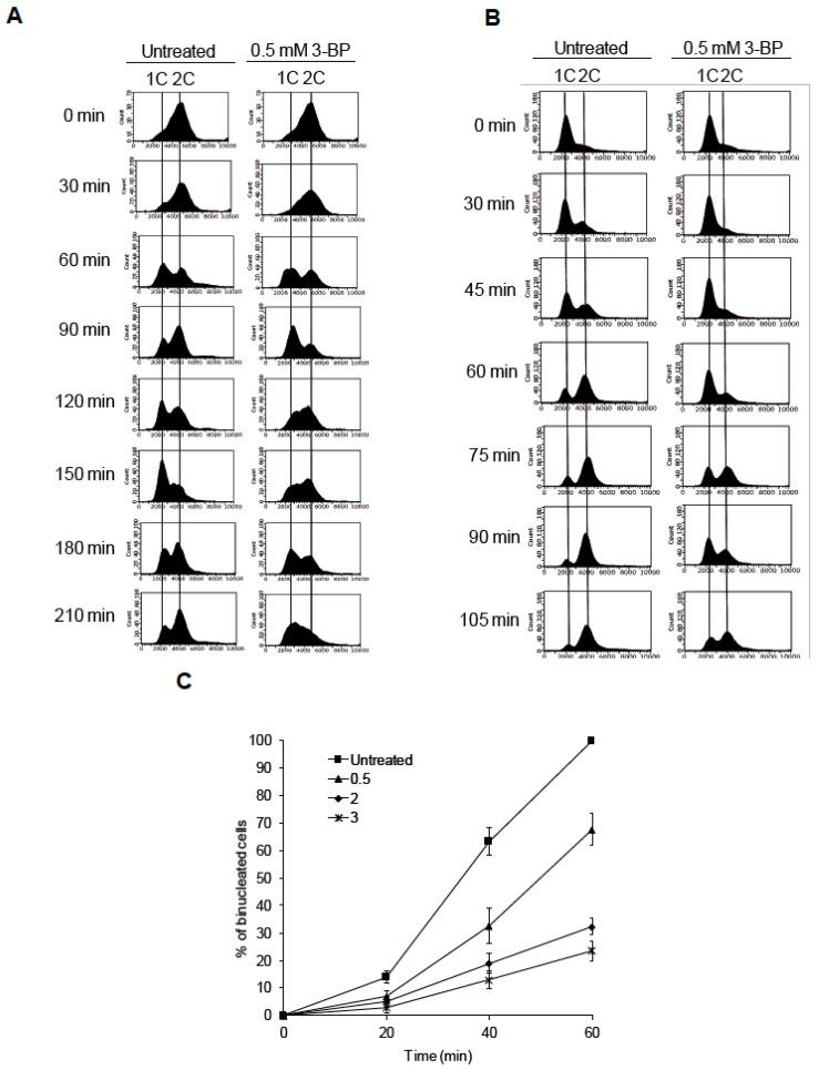 https://cdn.ncbi.nlm.nih.gov/pmc/blobs/cf97/7290944/5d9f4523405b/cells-09-01161-g003.jpg