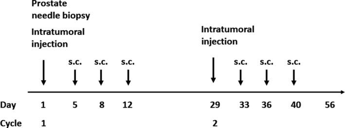 https://cdn.ncbi.nlm.nih.gov/pmc/blobs/cf99/7226216/2b04724ad2bc/CAS-111-1692-g001.jpg