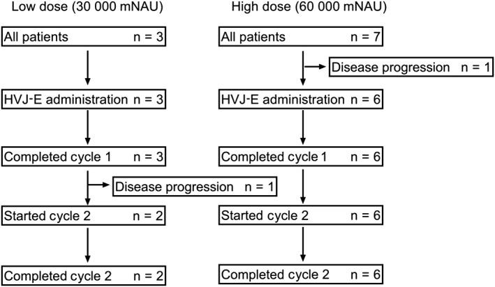 https://cdn.ncbi.nlm.nih.gov/pmc/blobs/cf99/7226216/46a88716a984/CAS-111-1692-g002.jpg