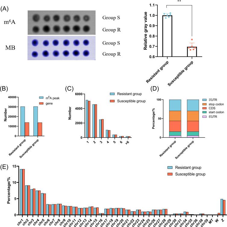 https://cdn.ncbi.nlm.nih.gov/pmc/blobs/cf9c/12343223/6900148ea8d8/fimmu-16-1630008-g002.jpg