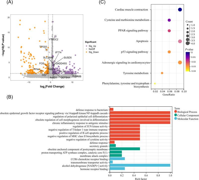https://cdn.ncbi.nlm.nih.gov/pmc/blobs/cf9c/12343223/6c876ab00536/fimmu-16-1630008-g004.jpg