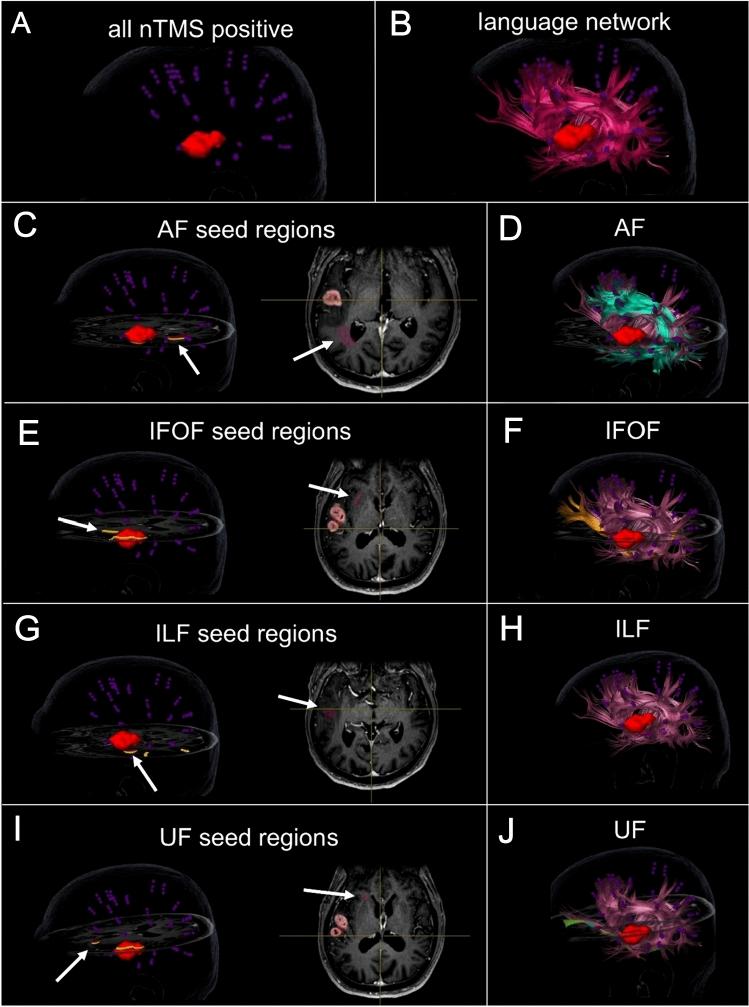 https://cdn.ncbi.nlm.nih.gov/pmc/blobs/cf9d/11612008/59ea23b280da/429_2024_2787_Fig1_HTML.jpg