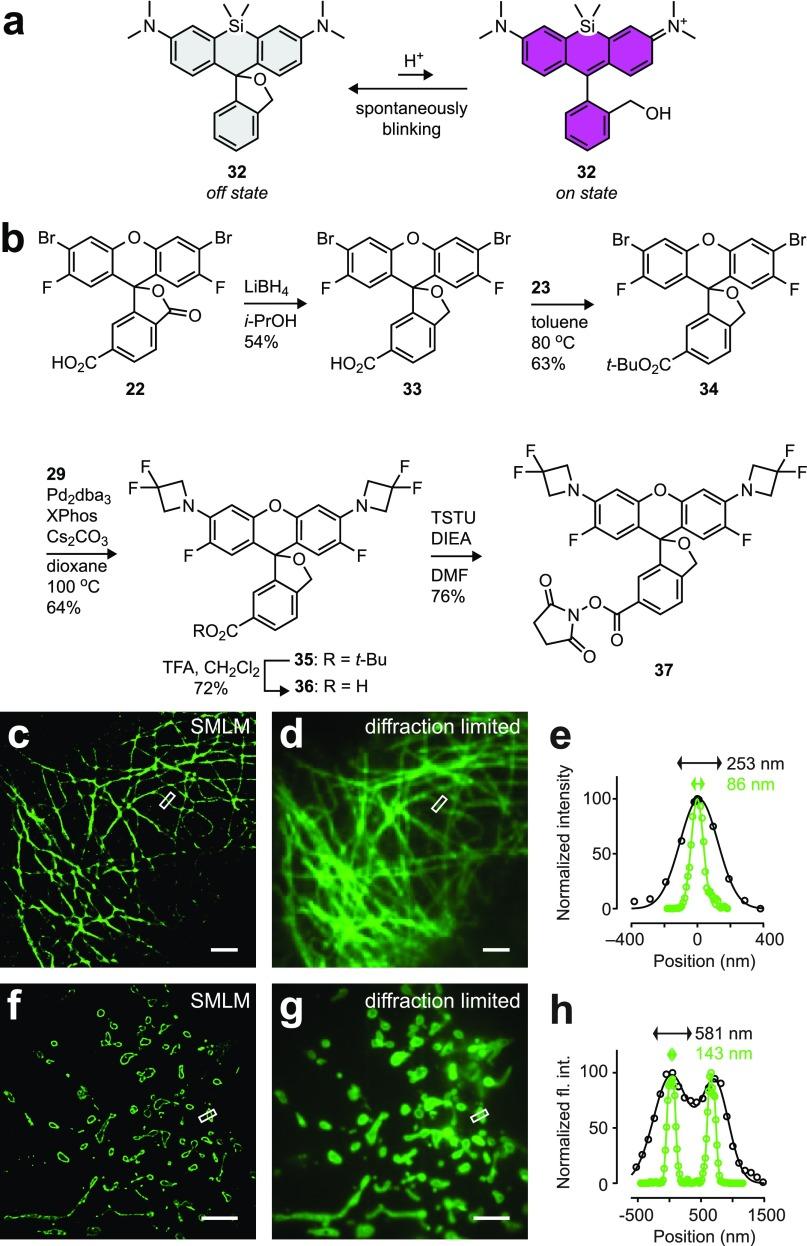 https://cdn.ncbi.nlm.nih.gov/pmc/blobs/cf9e/6764213/16c49d3a0f59/oc9b00676_0007.jpg