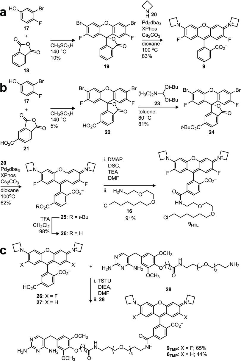 https://cdn.ncbi.nlm.nih.gov/pmc/blobs/cf9e/6764213/9c4c7fec80ed/oc9b00676_0008.jpg
