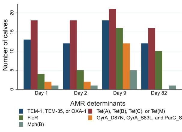 https://cdn.ncbi.nlm.nih.gov/pmc/blobs/cf9f/10986552/266dff6a8418/spectrum.03214-23.f004.jpg