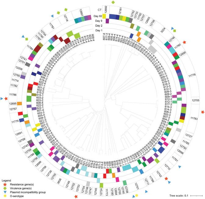 https://cdn.ncbi.nlm.nih.gov/pmc/blobs/cf9f/10986552/a3182526aca0/spectrum.03214-23.f001.jpg