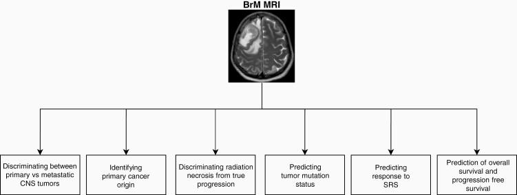 https://cdn.ncbi.nlm.nih.gov/pmc/blobs/cfa1/9583687/fd2d3269d94c/vdac141_fig2.jpg