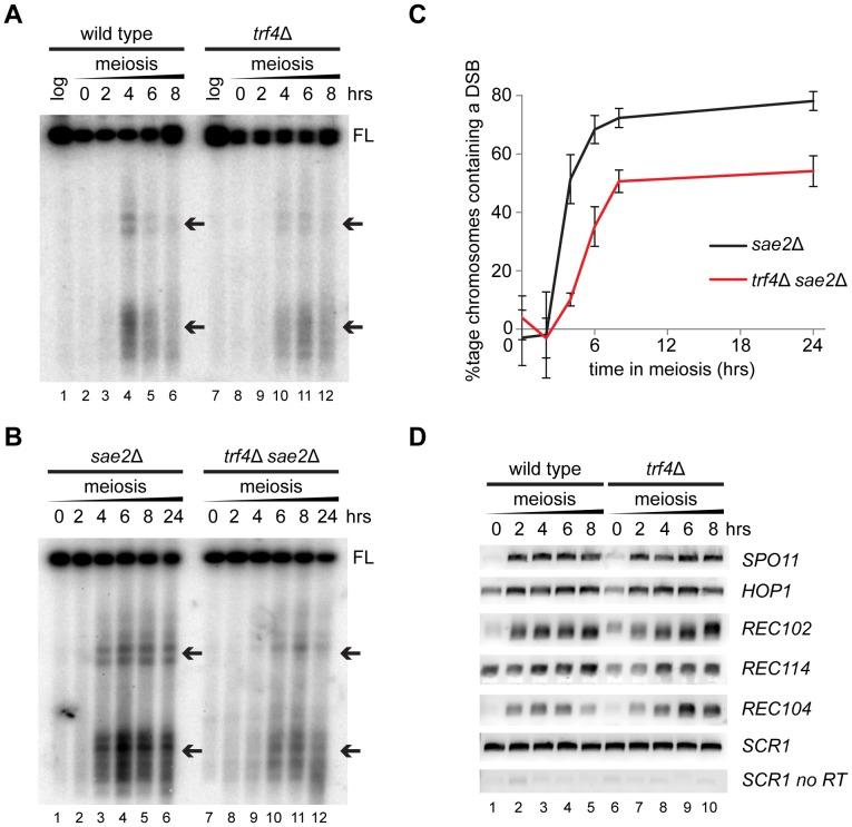 https://cdn.ncbi.nlm.nih.gov/pmc/blobs/cfa3/4161446/a58c55831eff/pone.0107648.g004.jpg