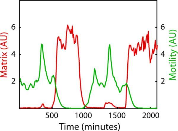 https://cdn.ncbi.nlm.nih.gov/pmc/blobs/cfa5/4019345/aa2d29834779/nihms-536071-f0011.jpg