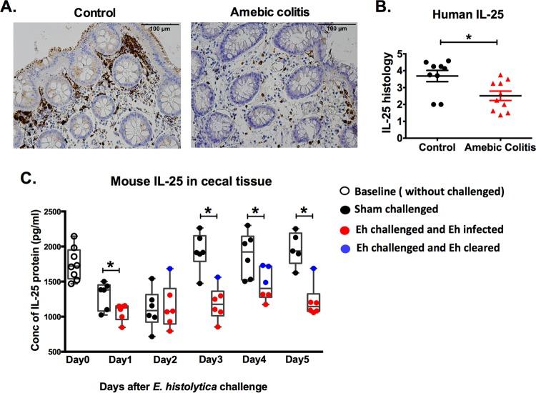 https://cdn.ncbi.nlm.nih.gov/pmc/blobs/cfa5/5347349/2cf72110bbc4/mbo0011732040001.jpg
