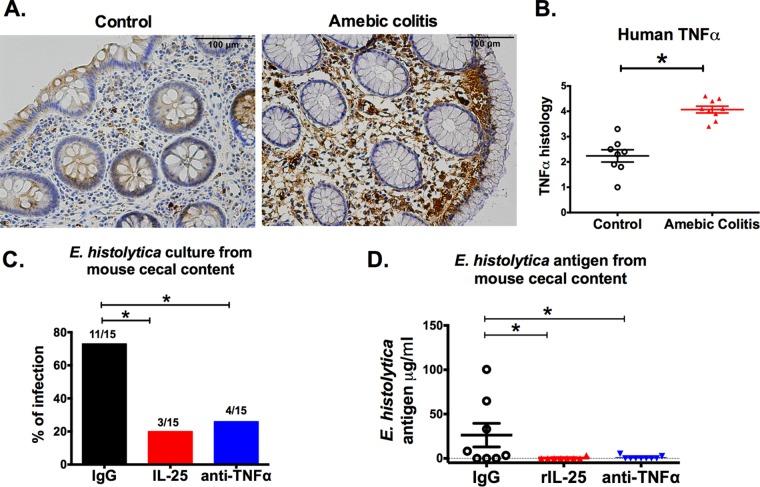 https://cdn.ncbi.nlm.nih.gov/pmc/blobs/cfa5/5347349/44754d7ccb32/mbo0011732040006.jpg