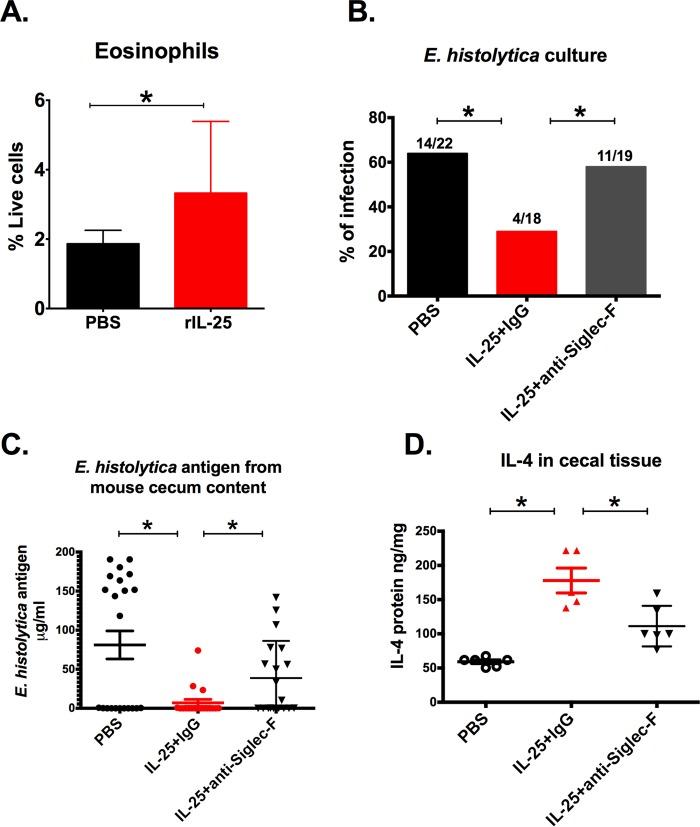 https://cdn.ncbi.nlm.nih.gov/pmc/blobs/cfa5/5347349/58875eabe560/mbo0011732040004.jpg