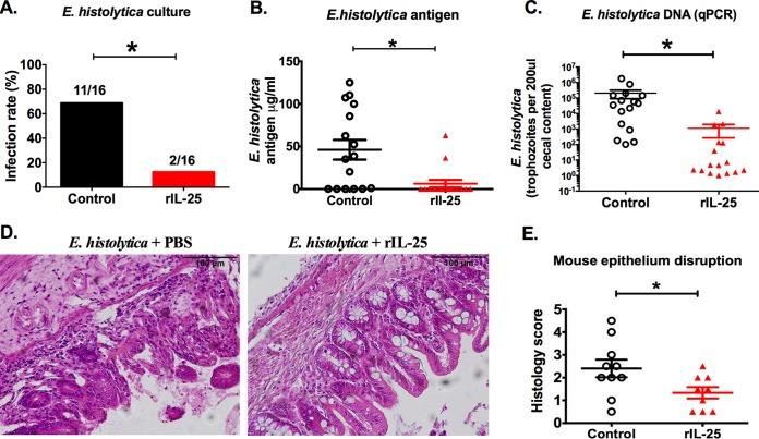 https://cdn.ncbi.nlm.nih.gov/pmc/blobs/cfa5/5347349/60fd5386d354/mbo0011732040002.jpg