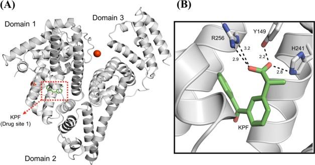 https://cdn.ncbi.nlm.nih.gov/pmc/blobs/cfa5/6704435/a51859aec714/ao-2019-01442u_0005.jpg