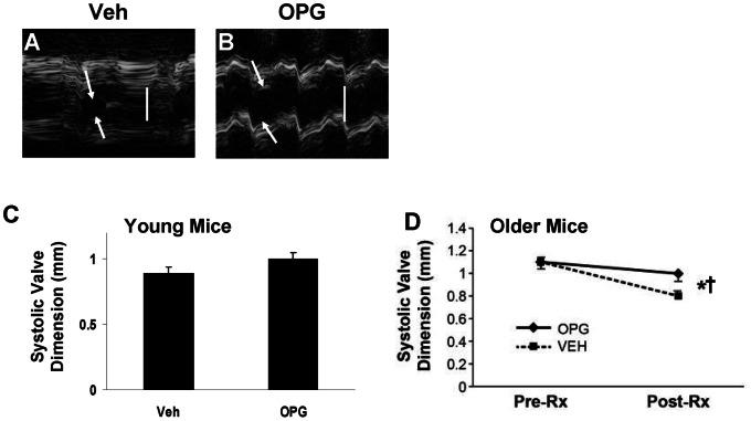 https://cdn.ncbi.nlm.nih.gov/pmc/blobs/cfa6/3675204/65d1274a4858/pone.0065201.g008.jpg
