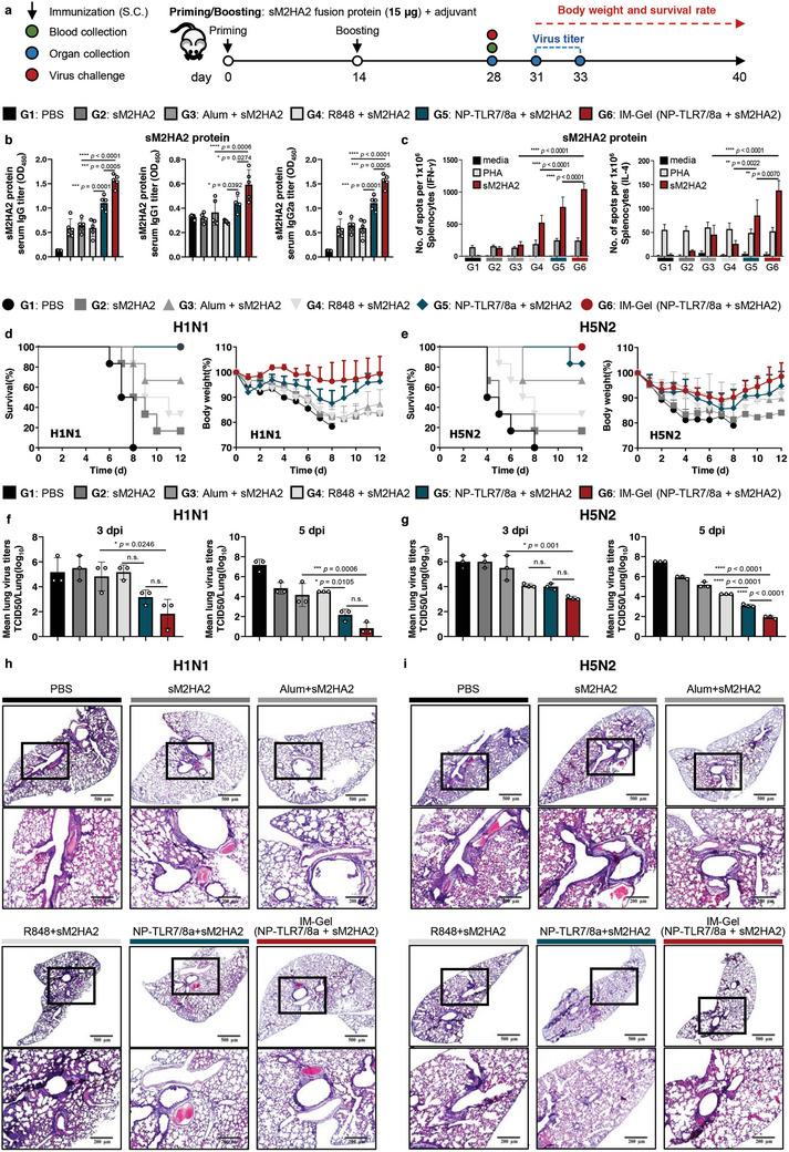 https://cdn.ncbi.nlm.nih.gov/pmc/blobs/cfa7/11884557/31f5f8e4aa75/ADVS-12-2412116-g007.jpg