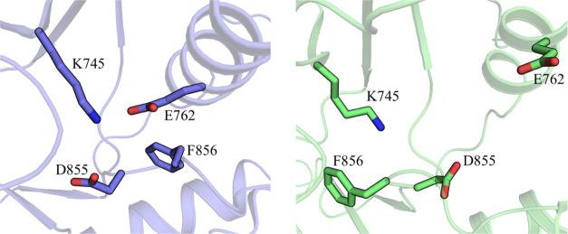 https://cdn.ncbi.nlm.nih.gov/pmc/blobs/cfa8/9976278/1b6a89cd4ba5/ci2c01586_0003.jpg