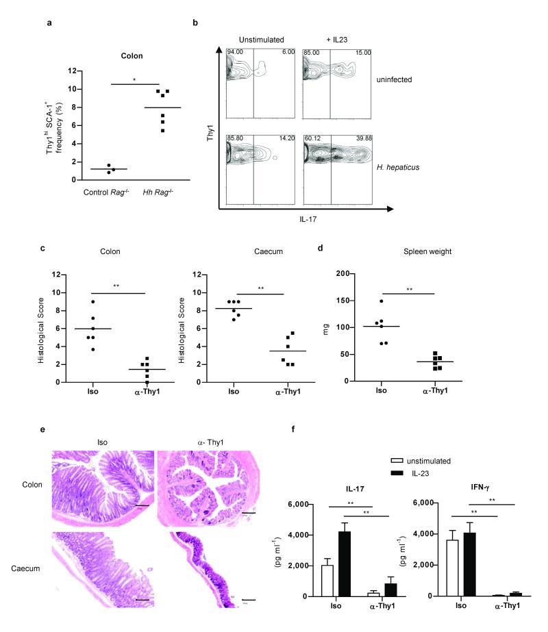 https://cdn.ncbi.nlm.nih.gov/pmc/blobs/cfaa/3796764/6a3ae5e3c163/emss-28842-f0003.jpg