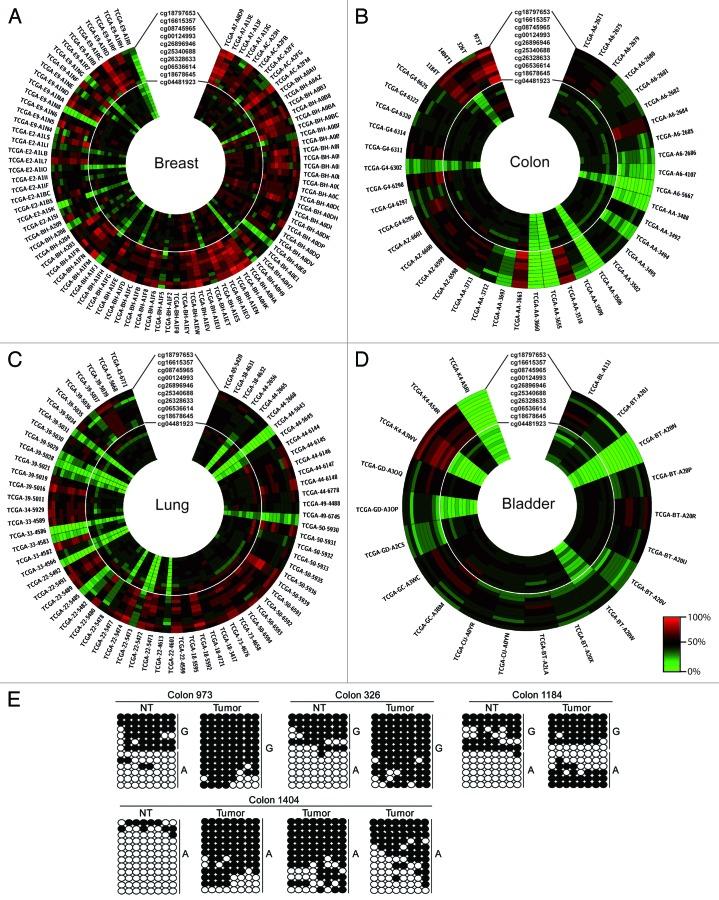 https://cdn.ncbi.nlm.nih.gov/pmc/blobs/cfae/4063837/96c132d8d8ec/epi-9-783-g4.jpg