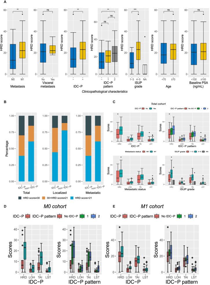 https://cdn.ncbi.nlm.nih.gov/pmc/blobs/cfaf/9306093/21a3876da2c8/12916_2022_2430_Fig1_HTML.jpg