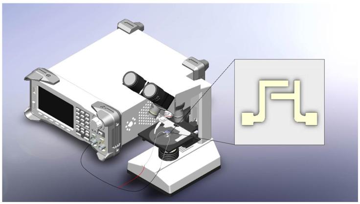 https://cdn.ncbi.nlm.nih.gov/pmc/blobs/cfb1/10972326/1f4e264e4771/micromachines-15-00341-g003.jpg