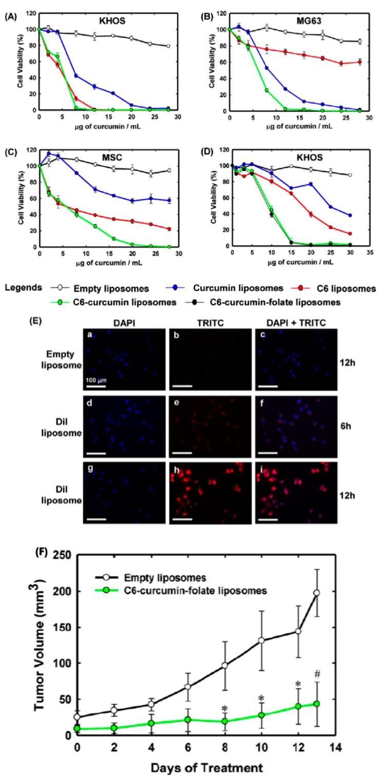 https://cdn.ncbi.nlm.nih.gov/pmc/blobs/cfb2/5750652/4259289f868b/pharmaceutics-09-00046-g004.jpg