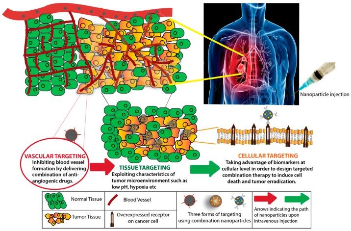 https://cdn.ncbi.nlm.nih.gov/pmc/blobs/cfb2/5750652/8423c8852534/pharmaceutics-09-00046-g001.jpg