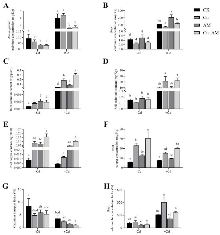 https://cdn.ncbi.nlm.nih.gov/pmc/blobs/cfb3/12114326/ab128be49155/microorganisms-13-01109-g002.jpg