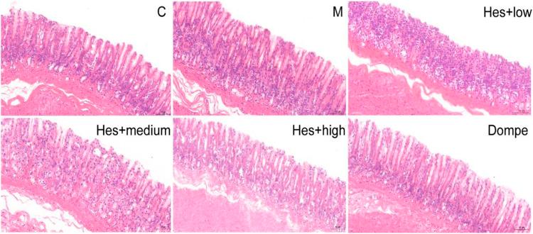 https://cdn.ncbi.nlm.nih.gov/pmc/blobs/cfb3/9412972/135a82504236/fphar-13-945624-g001.jpg