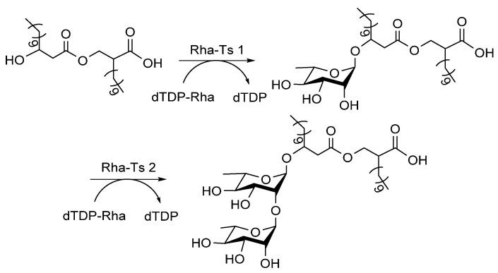 https://cdn.ncbi.nlm.nih.gov/pmc/blobs/cfb3/9415975/0d2010fb8f71/molecules-27-05315-g011.jpg