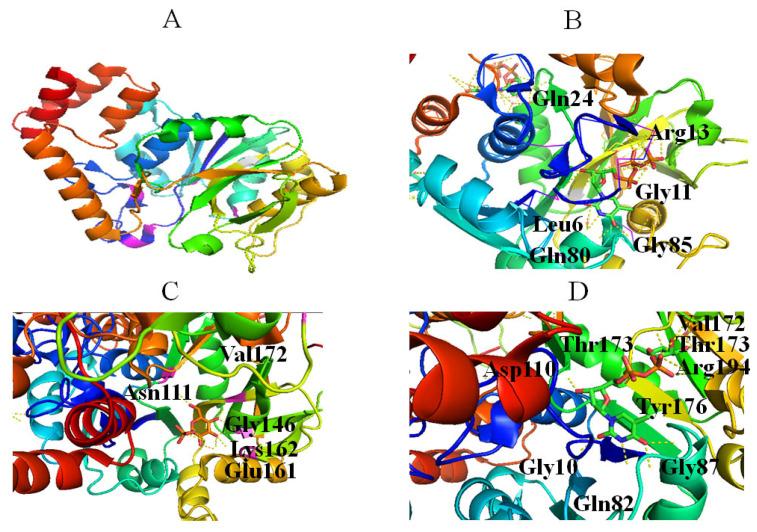 https://cdn.ncbi.nlm.nih.gov/pmc/blobs/cfb3/9415975/16face3c7005/molecules-27-05315-g003.jpg