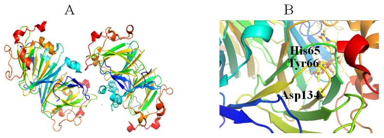 https://cdn.ncbi.nlm.nih.gov/pmc/blobs/cfb3/9415975/7f3ece534fef/molecules-27-05315-g005.jpg