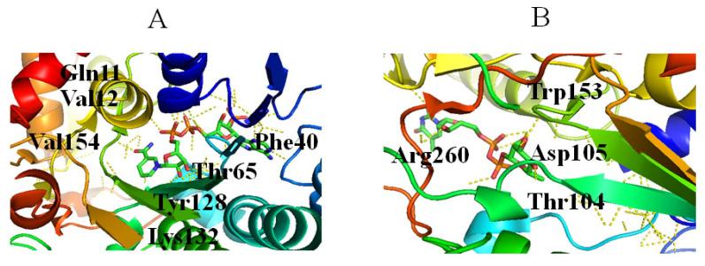 https://cdn.ncbi.nlm.nih.gov/pmc/blobs/cfb3/9415975/dde66cdc9ac4/molecules-27-05315-g006.jpg