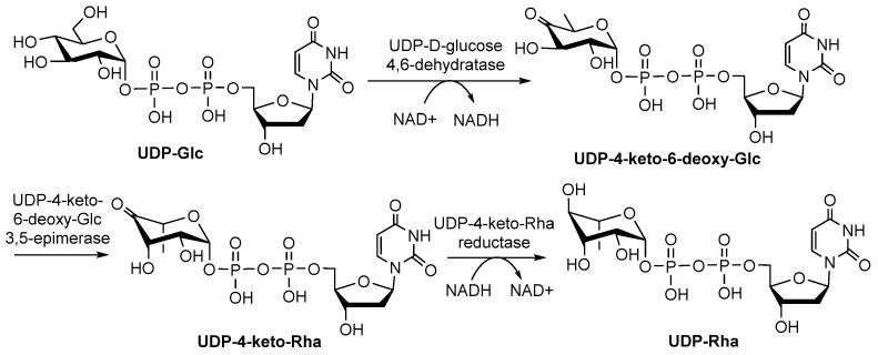 https://cdn.ncbi.nlm.nih.gov/pmc/blobs/cfb3/9415975/f6c83bcd6ff4/molecules-27-05315-g008.jpg