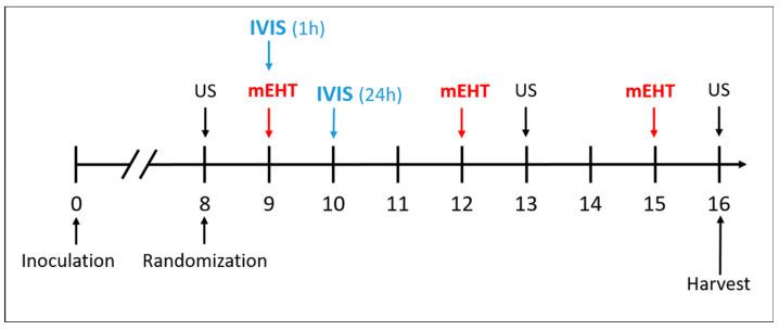 https://cdn.ncbi.nlm.nih.gov/pmc/blobs/cfb4/10970314/0b8b0688cc47/ijms-25-03101-g009.jpg