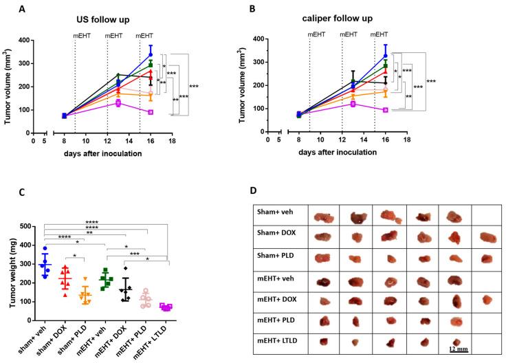 https://cdn.ncbi.nlm.nih.gov/pmc/blobs/cfb4/10970314/906c23842da2/ijms-25-03101-g001.jpg