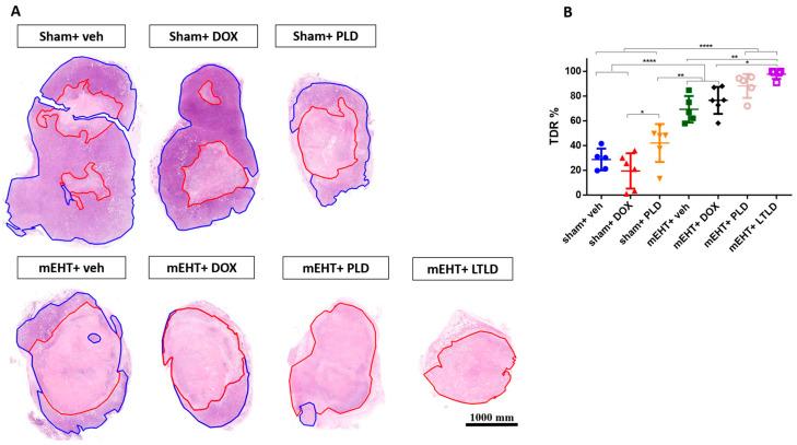 https://cdn.ncbi.nlm.nih.gov/pmc/blobs/cfb4/10970314/9a3d453acbac/ijms-25-03101-g004.jpg