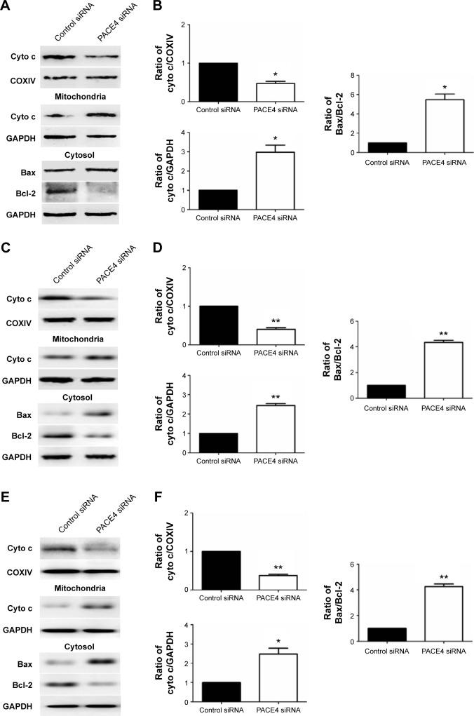 https://cdn.ncbi.nlm.nih.gov/pmc/blobs/cfb5/4639519/a539d5786274/dddt-9-5911Fig5.jpg