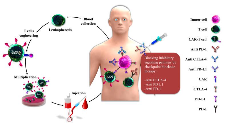https://cdn.ncbi.nlm.nih.gov/pmc/blobs/cfb7/7663909/d7b7483567bb/ijms-21-08305-g002.jpg