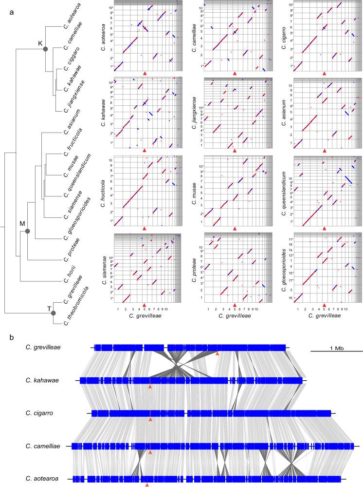 https://cdn.ncbi.nlm.nih.gov/pmc/blobs/cfba/11982366/9af58ac2d5b6/42003_2025_8024_Fig5_HTML.jpg