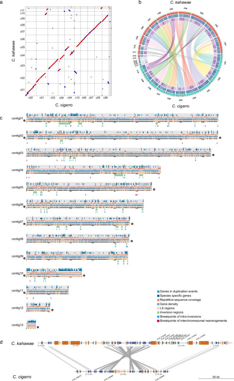 https://cdn.ncbi.nlm.nih.gov/pmc/blobs/cfba/11982366/fb3667de9649/42003_2025_8024_Fig6_HTML.jpg