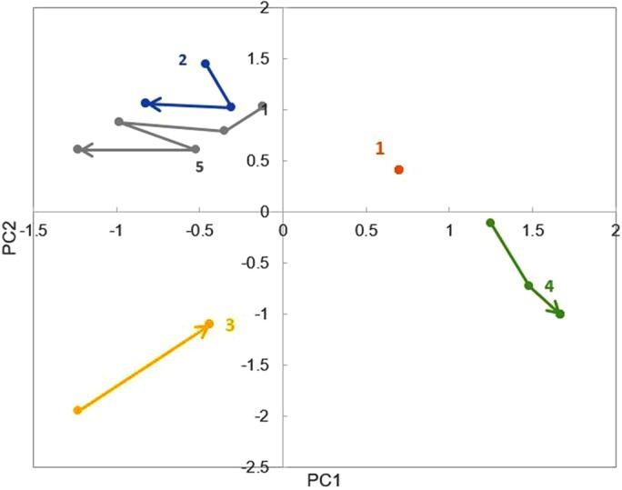 https://cdn.ncbi.nlm.nih.gov/pmc/blobs/cfba/5459251/e004cb5c3631/ar33fig5.jpg
